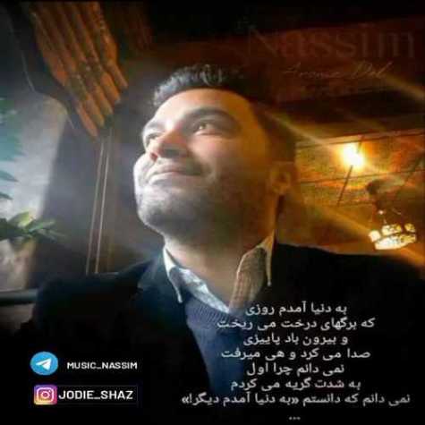 Nassim Aroome Del